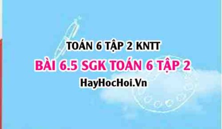 Bài 6.5 SGK Toán 6 tập 2 Kết nối tri thức